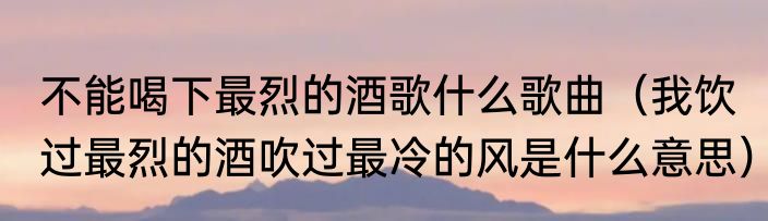 不能喝下最烈的酒歌什么歌曲（我饮过最烈的酒吹过最冷的风是什么意思）