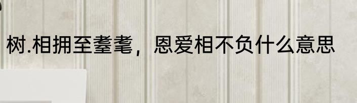 树.相拥至耋耄，恩爱相不负什么意思