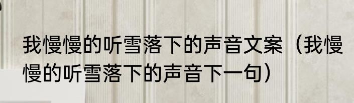 我慢慢的听雪落下的声音文案（我慢慢的听雪落下的声音下一句）