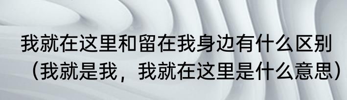 我就在这里和留在我身边有什么区别（我就是我，我就在这里是什么意思）