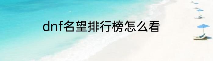 dnf名望排行榜怎么看