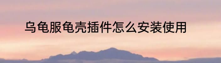 乌龟服龟壳插件怎么安装使用