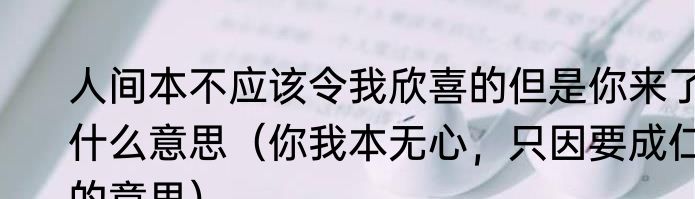 人间本不应该令我欣喜的但是你来了什么意思（你我本无心，只因要成仁的意思）