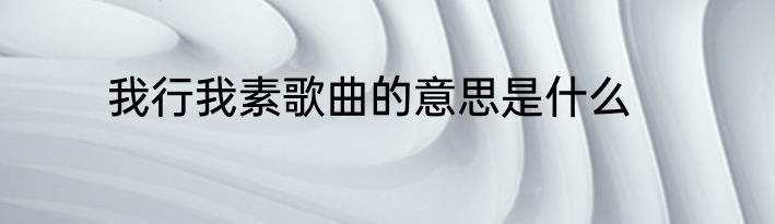 我行我素歌曲的意思是什么