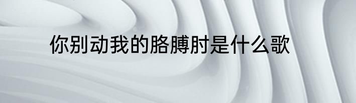 你别动我的胳膊肘是什么歌