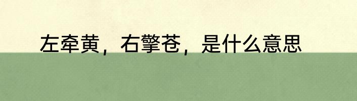 左牵黄，右擎苍，是什么意思