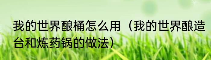 我的世界酿桶怎么用（我的世界酿造台和炼药锅的做法）