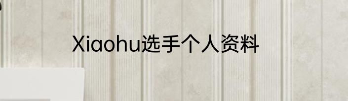Xiaohu选手个人资料