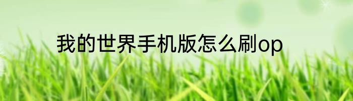 我的世界手机版怎么刷op
