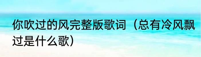 你吹过的风完整版歌词（总有冷风飘过是什么歌）