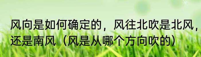 风向是如何确定的，风往北吹是北风，还是南风（风是从哪个方向吹的）