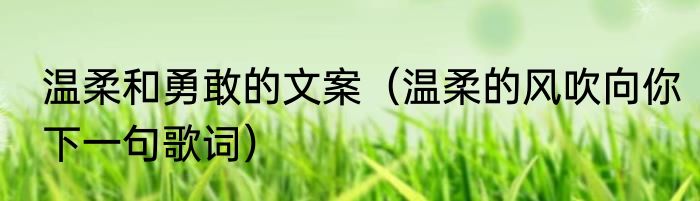 温柔和勇敢的文案（温柔的风吹向你下一句歌词）
