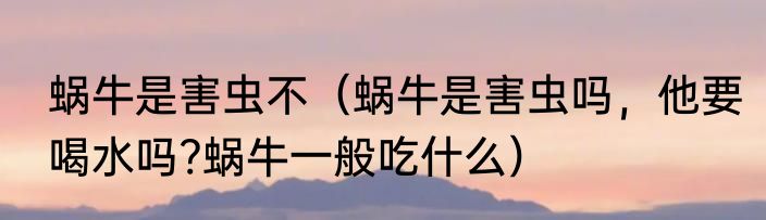蜗牛是害虫不（蜗牛是害虫吗，他要喝水吗?蜗牛一般吃什么）