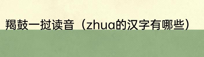 羯鼓一挝读音（zhua的汉字有哪些）