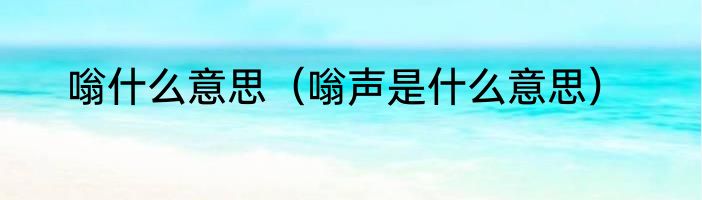 嗡什么意思（嗡声是什么意思）