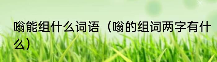嗡能组什么词语（嗡的组词两字有什么）