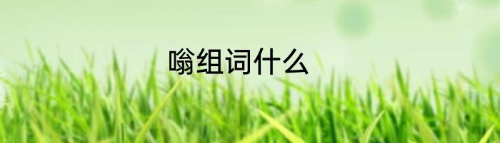 嗡组词什么
