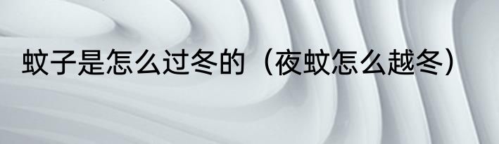 蚊子是怎么过冬的（夜蚊怎么越冬）
