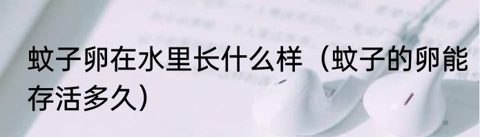 蚊子卵在水里长什么样（蚊子的卵能存活多久）