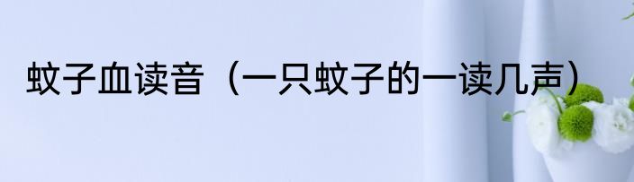 蚊子血读音（一只蚊子的一读几声）