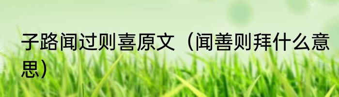 子路闻过则喜原文（闻善则拜什么意思）