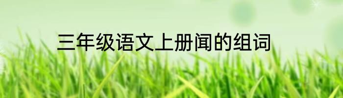 三年级语文上册闻的组词