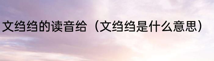 文绉绉的读音给（文绉绉是什么意思）