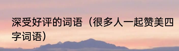 深受好评的词语（很多人一起赞美四字词语）