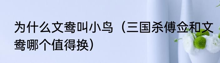 为什么文鸯叫小鸟（三国杀傅佥和文鸯哪个值得换）