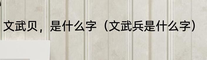 文武贝，是什么字（文武兵是什么字）