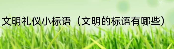 文明礼仪小标语（文明的标语有哪些）