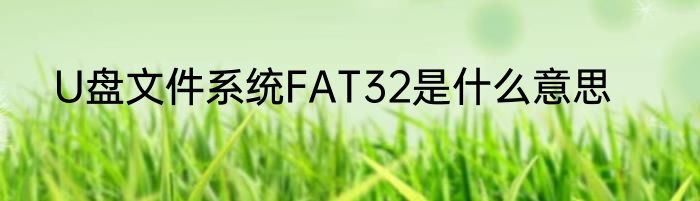 U盘文件系统FAT32是什么意思