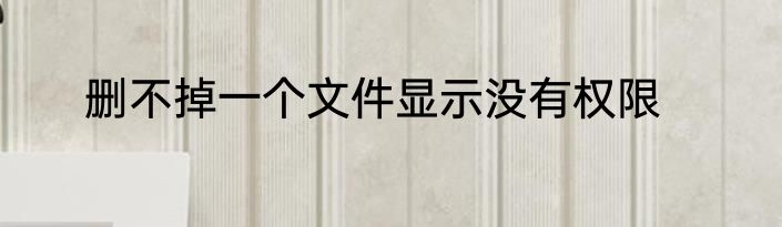 删不掉一个文件显示没有权限