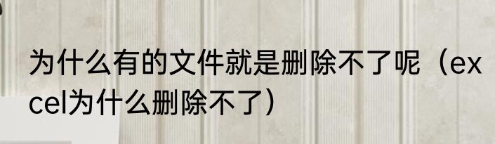 为什么有的文件就是删除不了呢（excel为什么删除不了）