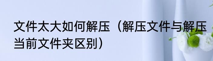 文件太大如何解压（解压文件与解压当前文件夹区别）