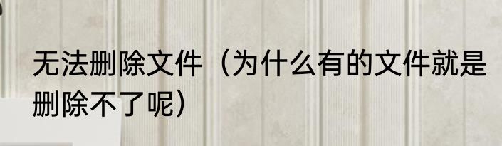 无法删除文件（为什么有的文件就是删除不了呢）