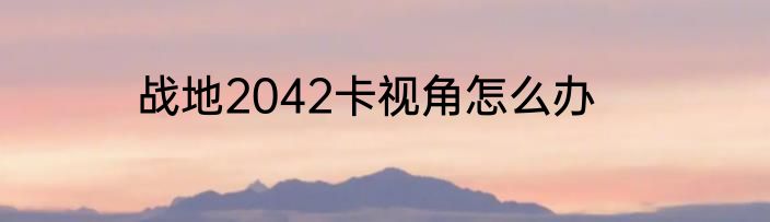 战地2042卡视角怎么办