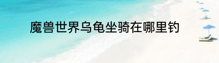 魔兽世界乌龟坐骑在哪里钓