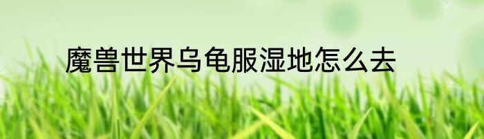 魔兽世界乌龟服湿地怎么去