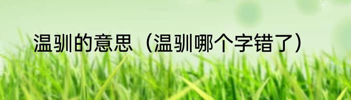 温驯的意思（温驯哪个字错了）