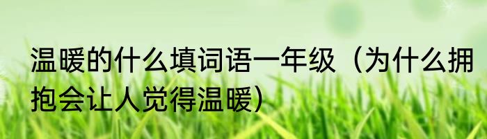 温暖的什么填词语一年级（为什么拥抱会让人觉得温暖）