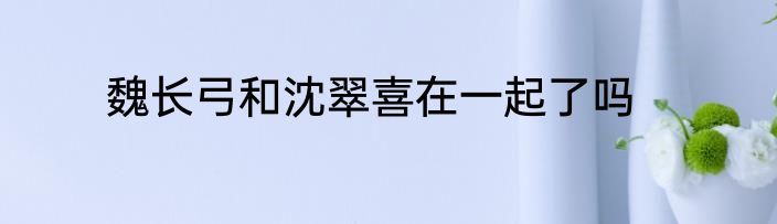 魏长弓和沈翠喜在一起了吗