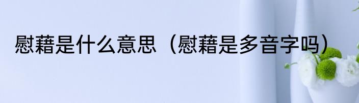 慰藉是什么意思（慰藉是多音字吗）