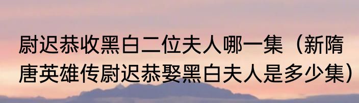 尉迟恭收黑白二位夫人哪一集（新隋唐英雄传尉迟恭娶黑白夫人是多少集）