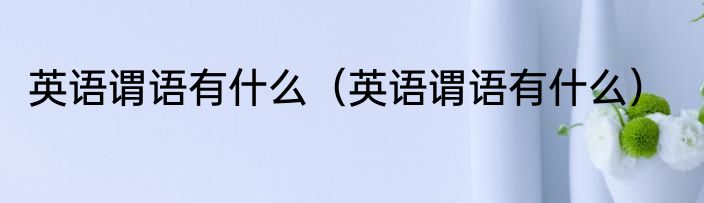英语谓语有什么（英语谓语有什么）
