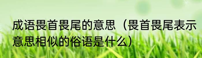 成语畏首畏尾的意思（畏首畏尾表示意思相似的俗语是什么）