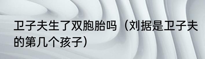 卫子夫生了双胞胎吗（刘据是卫子夫的第几个孩子）