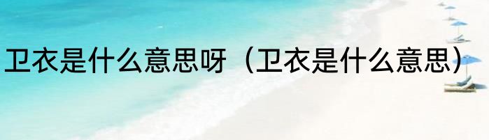 卫衣是什么意思呀（卫衣是什么意思）