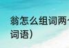 翁怎么组词两个字（翁的组词有哪些词语）