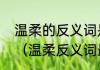 温柔的反义词是什么四年级课外诗歌（温柔反义词最佳答案）